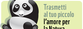 pandino