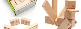 tegu_costruzioni